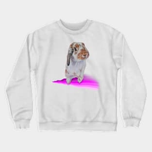 Leonard the bunny legend! Crewneck Sweatshirt